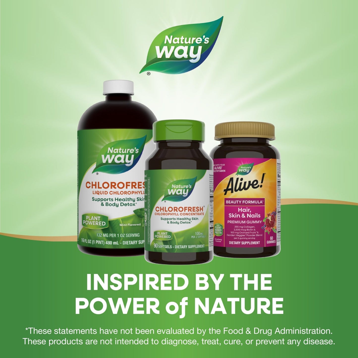 Nature’s Way Chlorofresh Chlorophyll Concentrate, Supports Detox - FitLife - WellnessOasis
