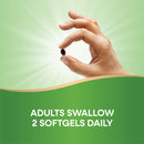 Nature’s Way Chlorofresh Chlorophyll Concentrate, Supports Detox - FitLife - WellnessOasis