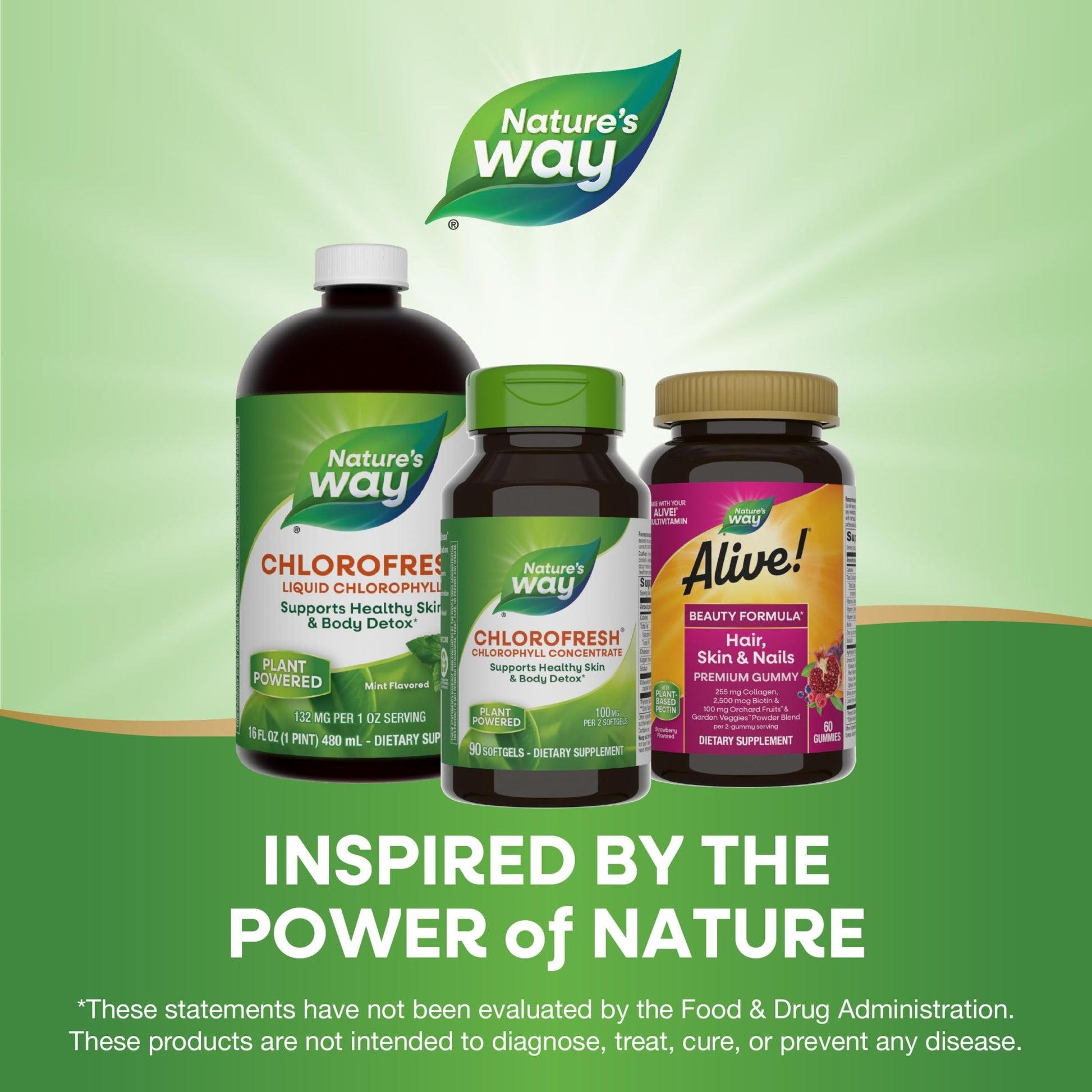 Nature’s Way Chlorofresh Chlorophyll Concentrate, Supports Detox - FitLife - WellnessOasis
